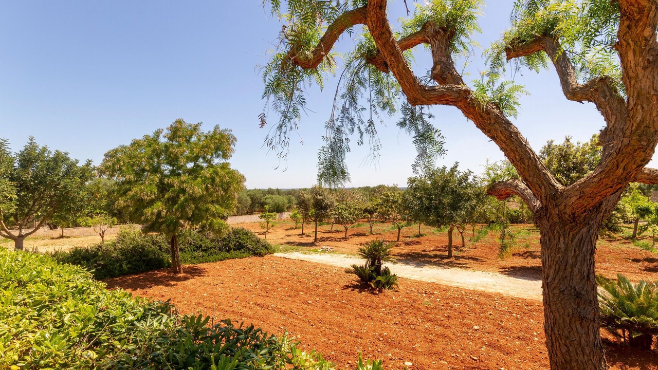 Photo of Outdoor in Villa Castelli