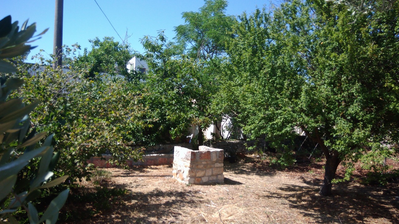 Photo of Outdoor in Noci
