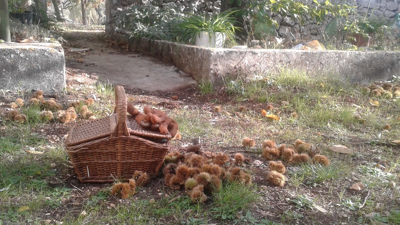 Photo of Outdoor in Noci