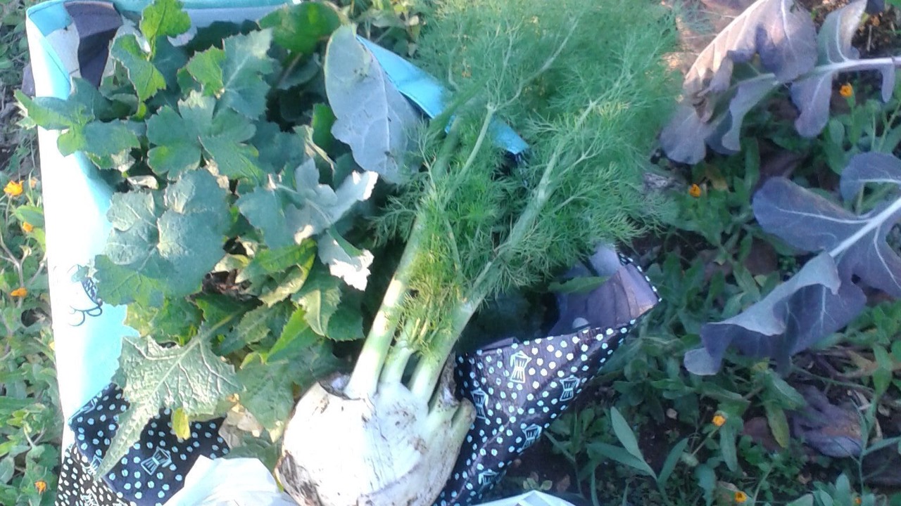 Photo of Outdoor in Noci