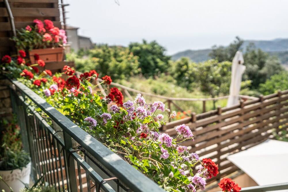 Photo of Others in San Mauro Cilento