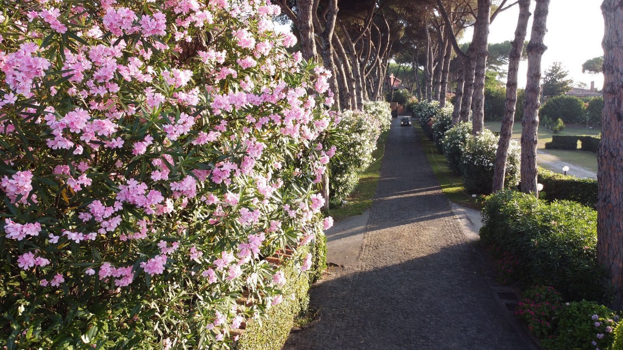Photo of Outdoor in Zona LIV La Giustiniana