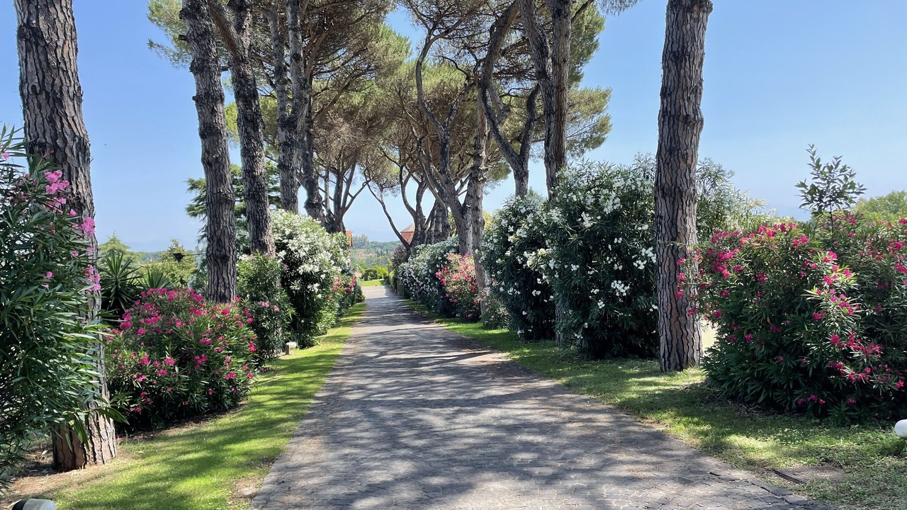 Photo of Outdoor in Zona LIV La Giustiniana