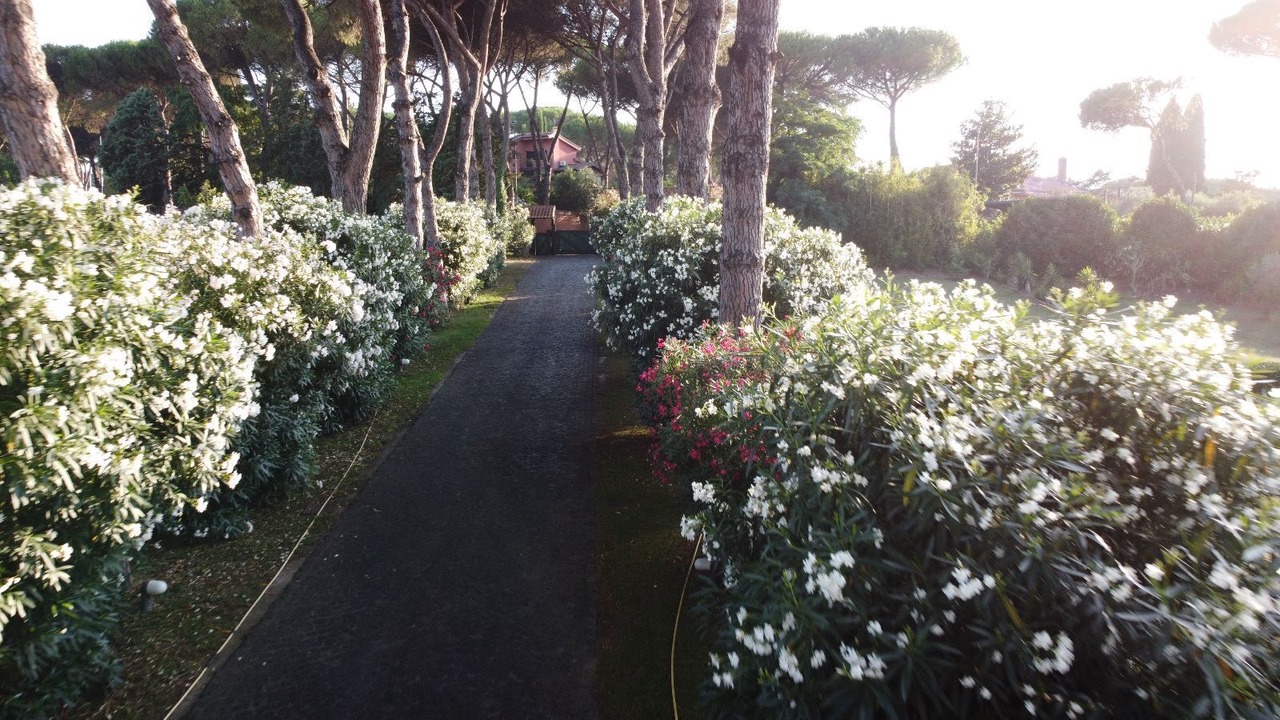 Photo of Outdoor in Zona LIV La Giustiniana