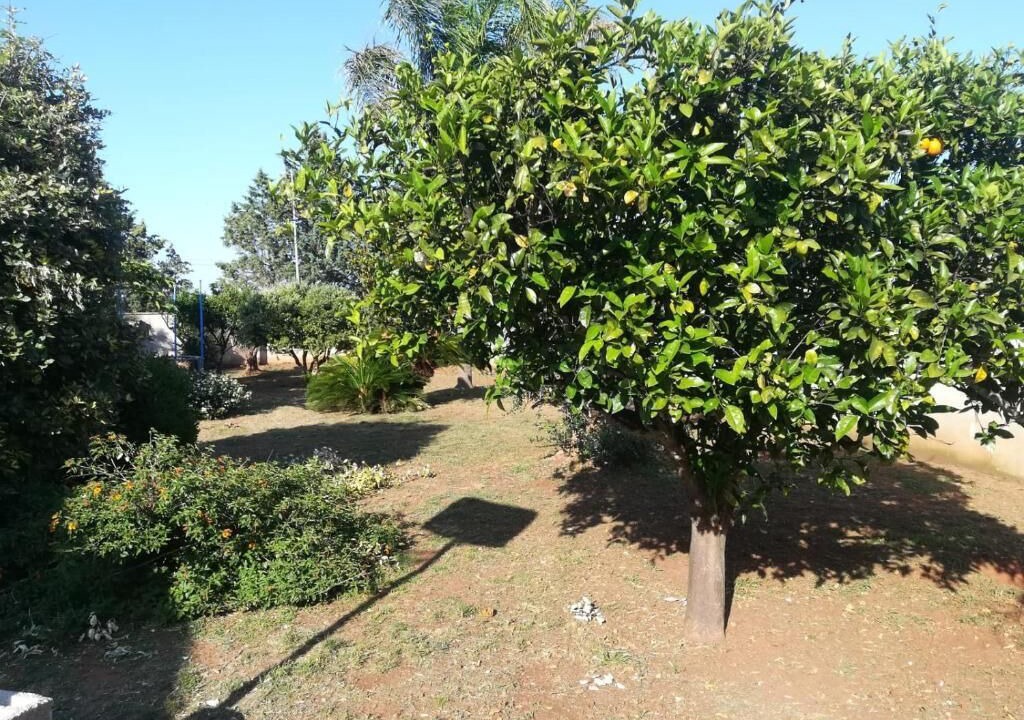 Photo of Outdoor in Galatina