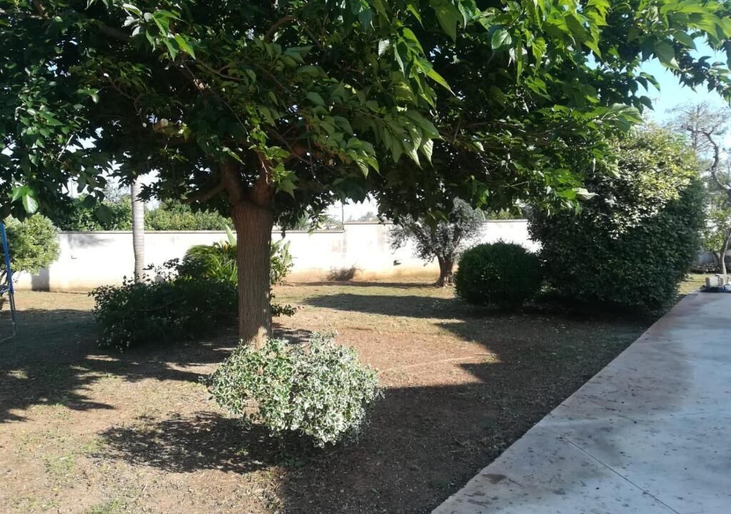 Photo of Outdoor in Galatina