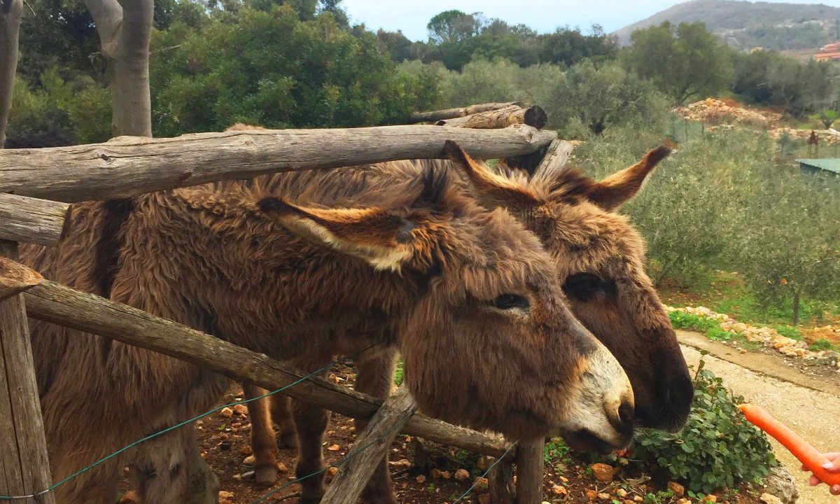Photo of Others in Monte Argentario