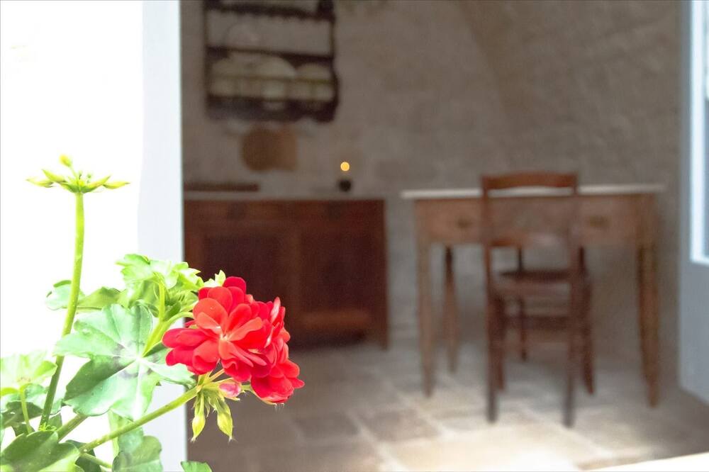 Photo of Others in Old Town Cisternino