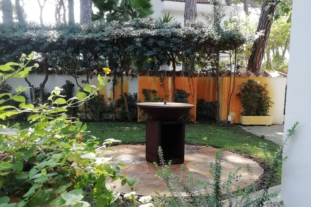Photo of Outdoor in Fregenae