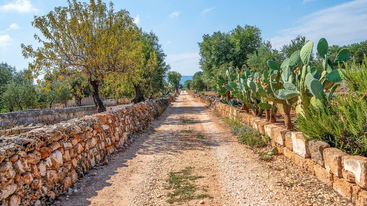 Photo of Outdoor in Fasano