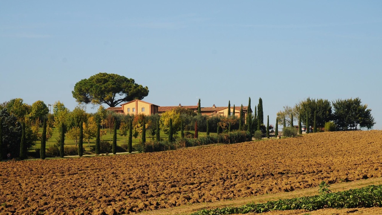 Photo of Outdoor in Castiglione del Lago