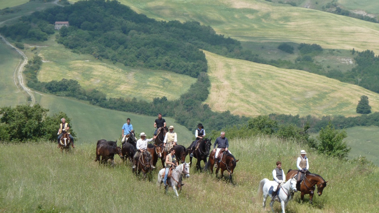 Photo of Others in Celle sul Rigo