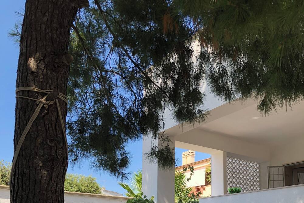 Photo of Outdoor in Torricella