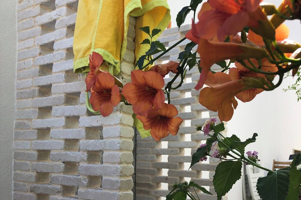 Photo of Outdoor in Torricella