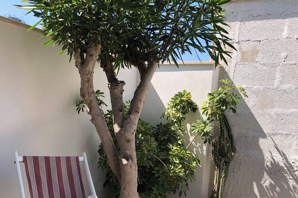 Photo of Outdoor in Torricella