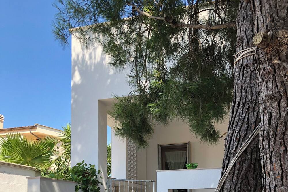 Photo of Outdoor in Torricella