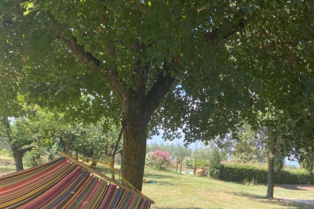 Photo of Outdoor in Ferretto
