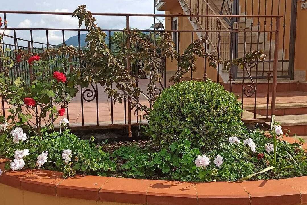 Photo of Outdoor in Rutino