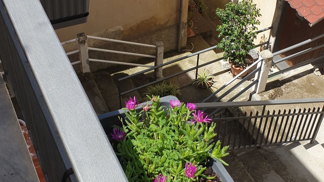Photo of Outdoor in Marina Lido