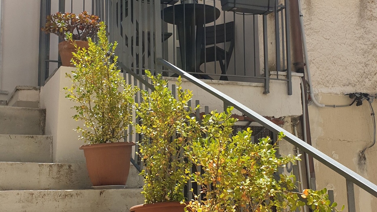 Photo of Outdoor in Marina Lido