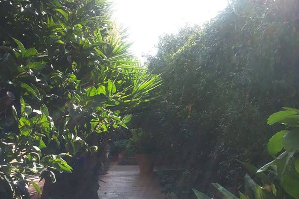 Photo of Outdoor in Talamone