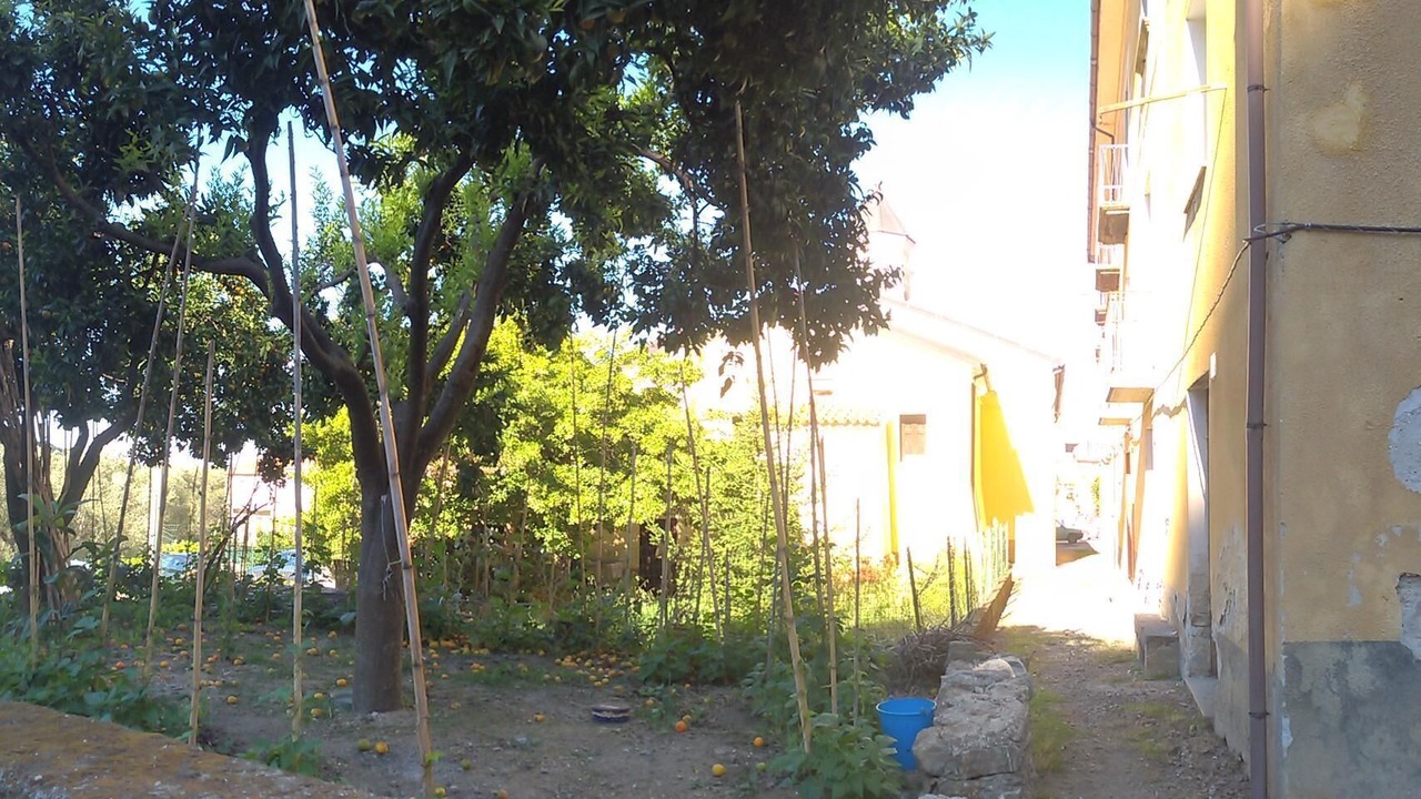 Photo of Outdoor in Ascea