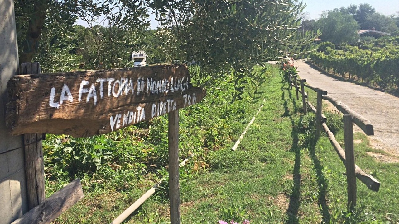 Photo of Outdoor in Zona XLV Castel di Guido
