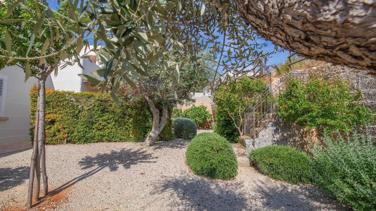 Photo of Outdoor in Cenate