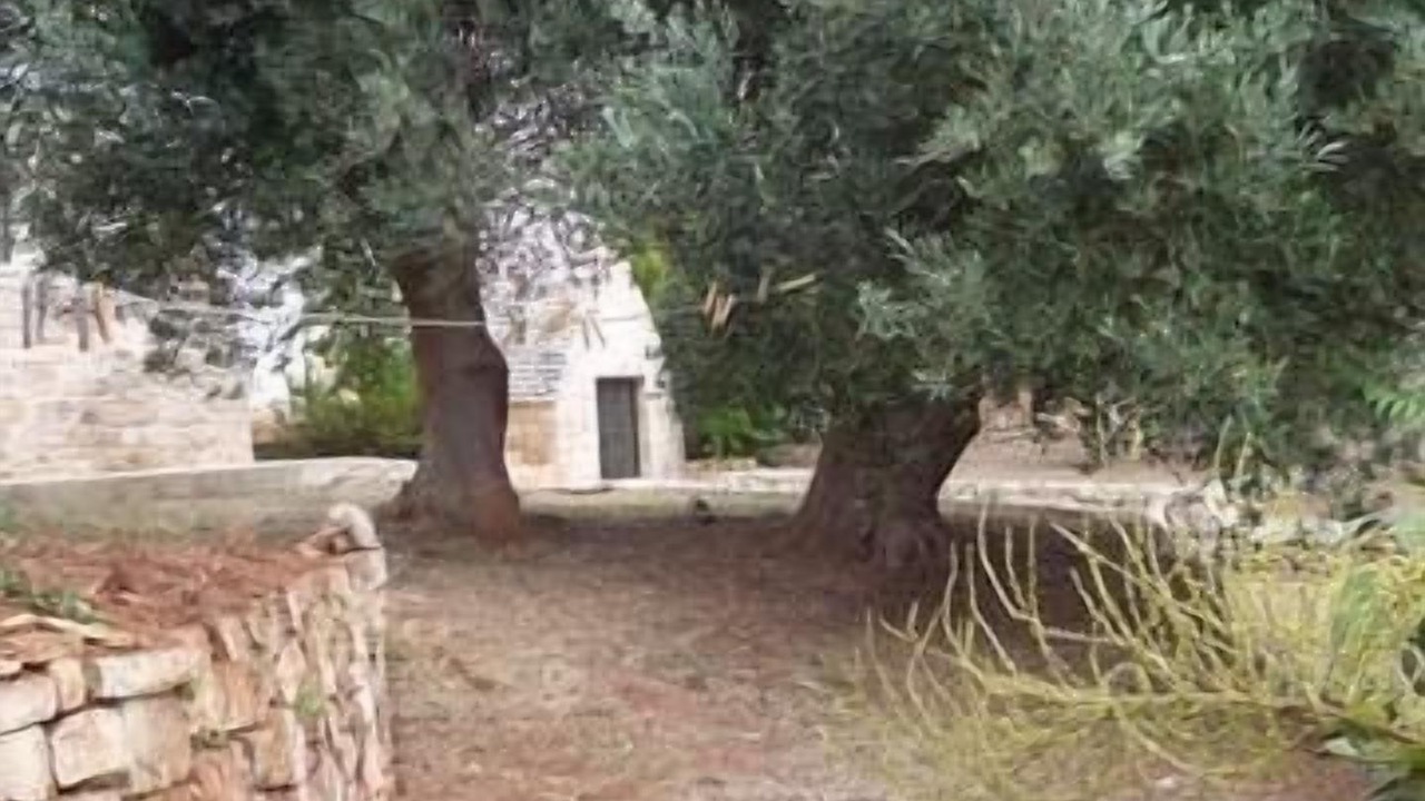 Photo of Outdoor in Casalini