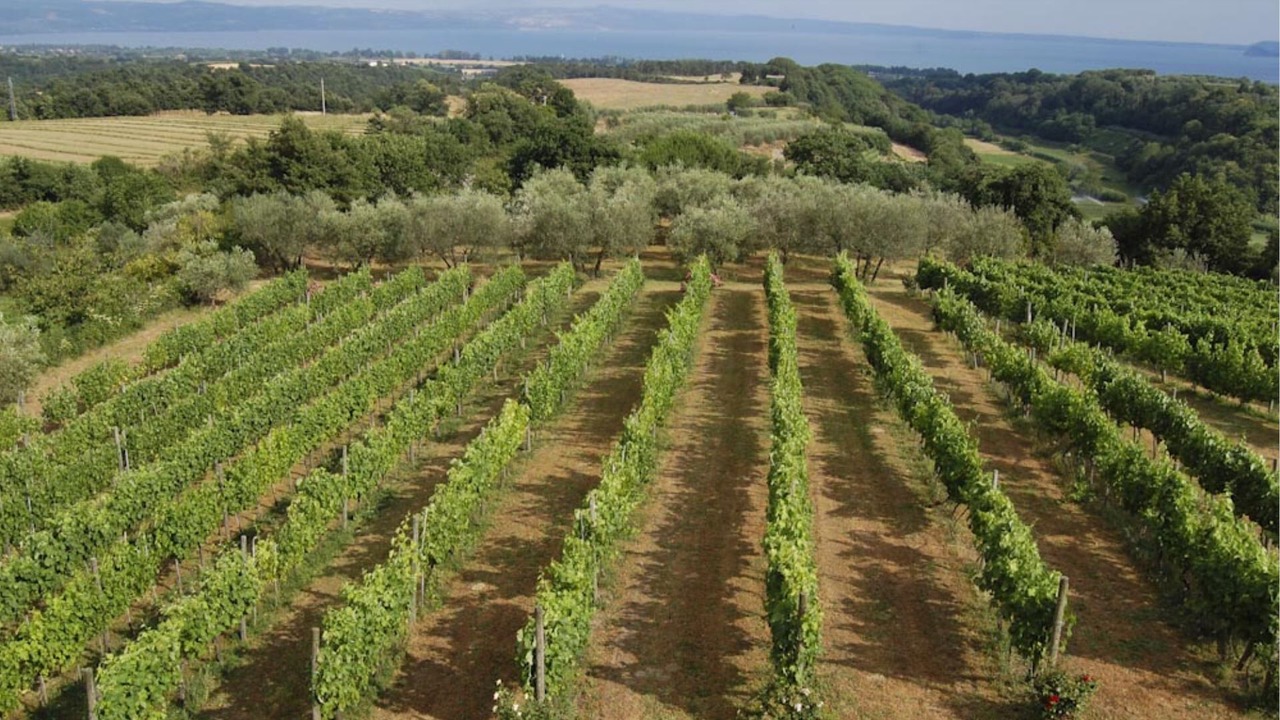 Photo of Outdoor in Grotte di Castro