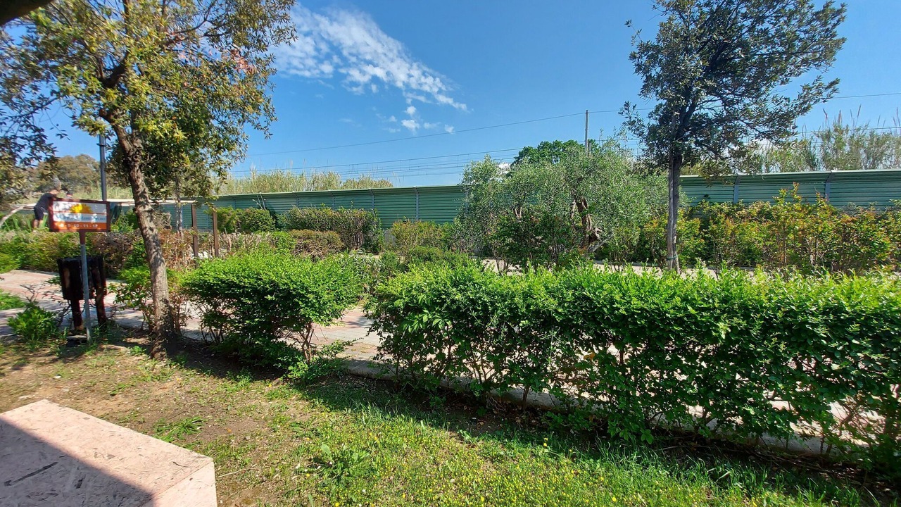 Photo of Outdoor in Follonica