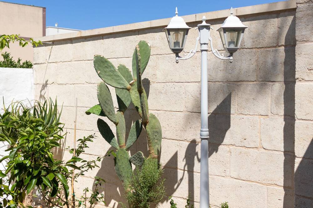 Photo of Outdoor in Montalbano