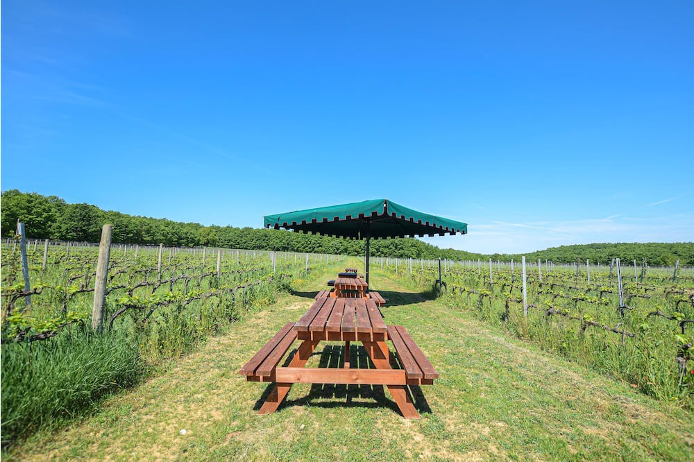Photo of Outdoor in Montepulciano