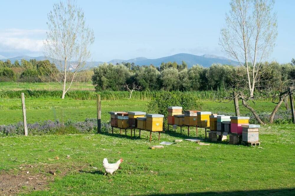 Photo of Outdoor in Monte San Biagio