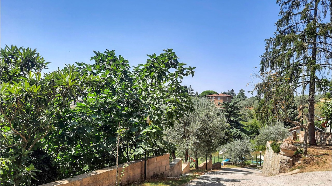 Photo of Outdoor in Ficulle