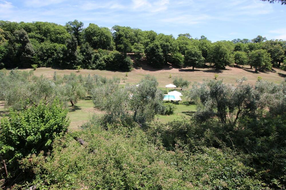 Photo of Outdoor in Poggio