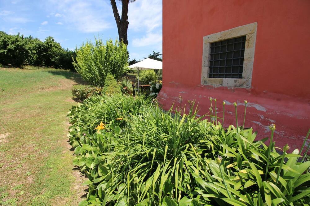 Photo of Outdoor in Poggio