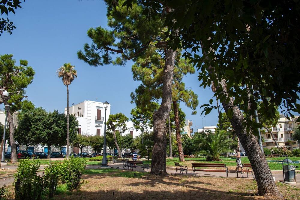Photo of Others in Mola di Bari