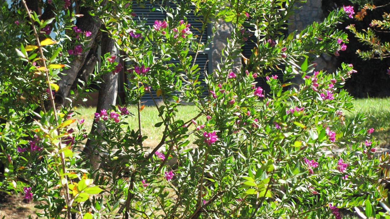 Photo of Outdoor in Ansedonia