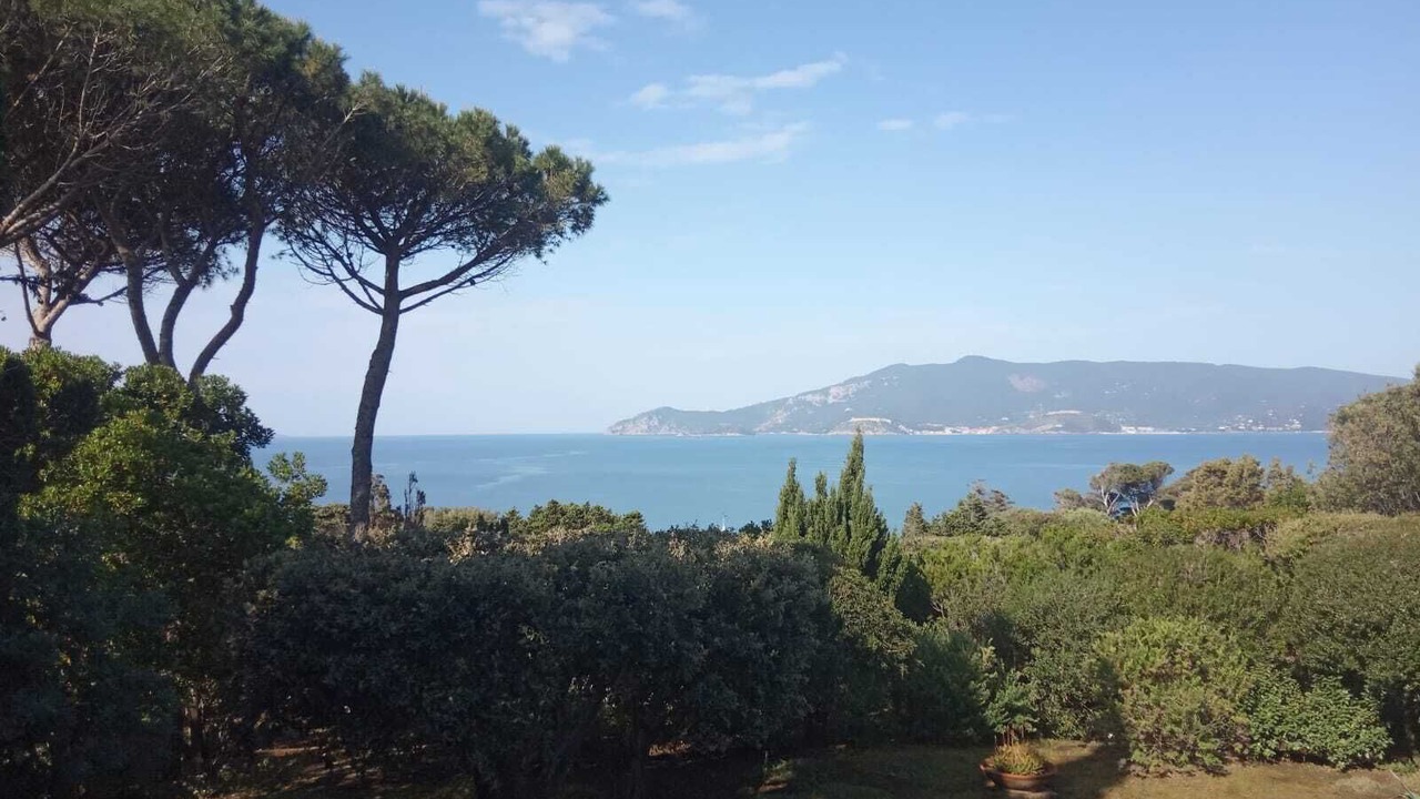 Photo of Others in Ansedonia