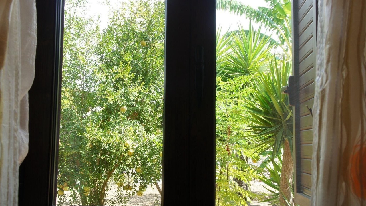 Photo of Others in Alani