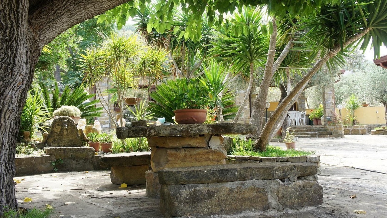 Photo of Outdoor in Alani