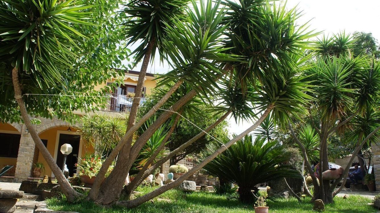 Photo of Outdoor in Alani