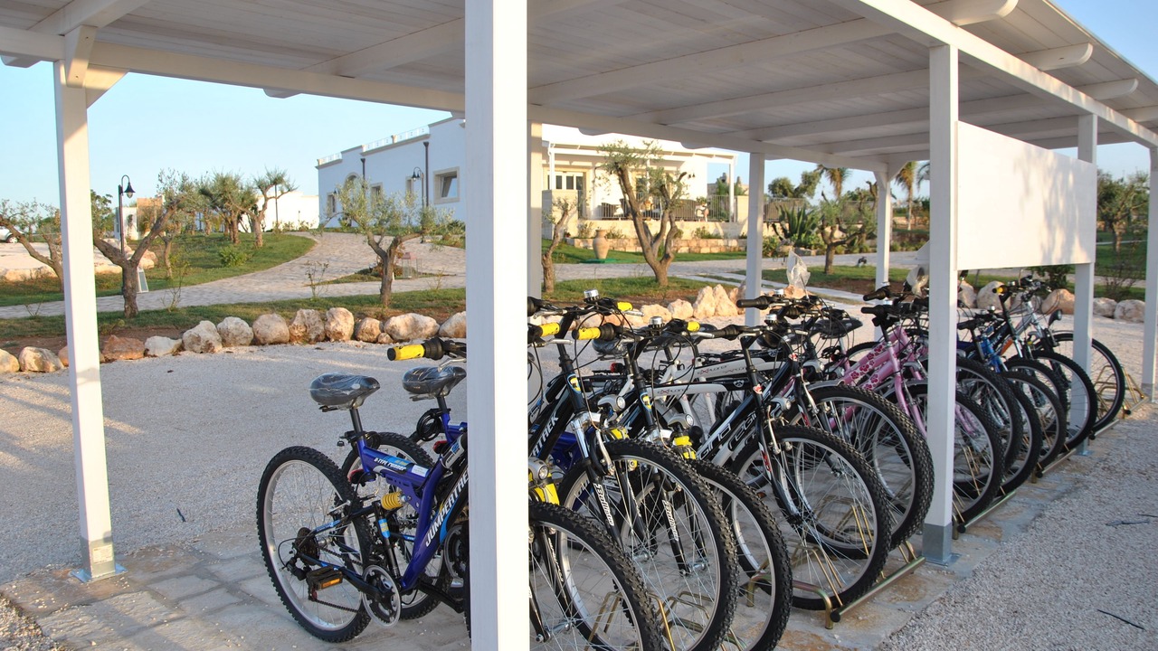 Photo of Outdoor in Fasano
