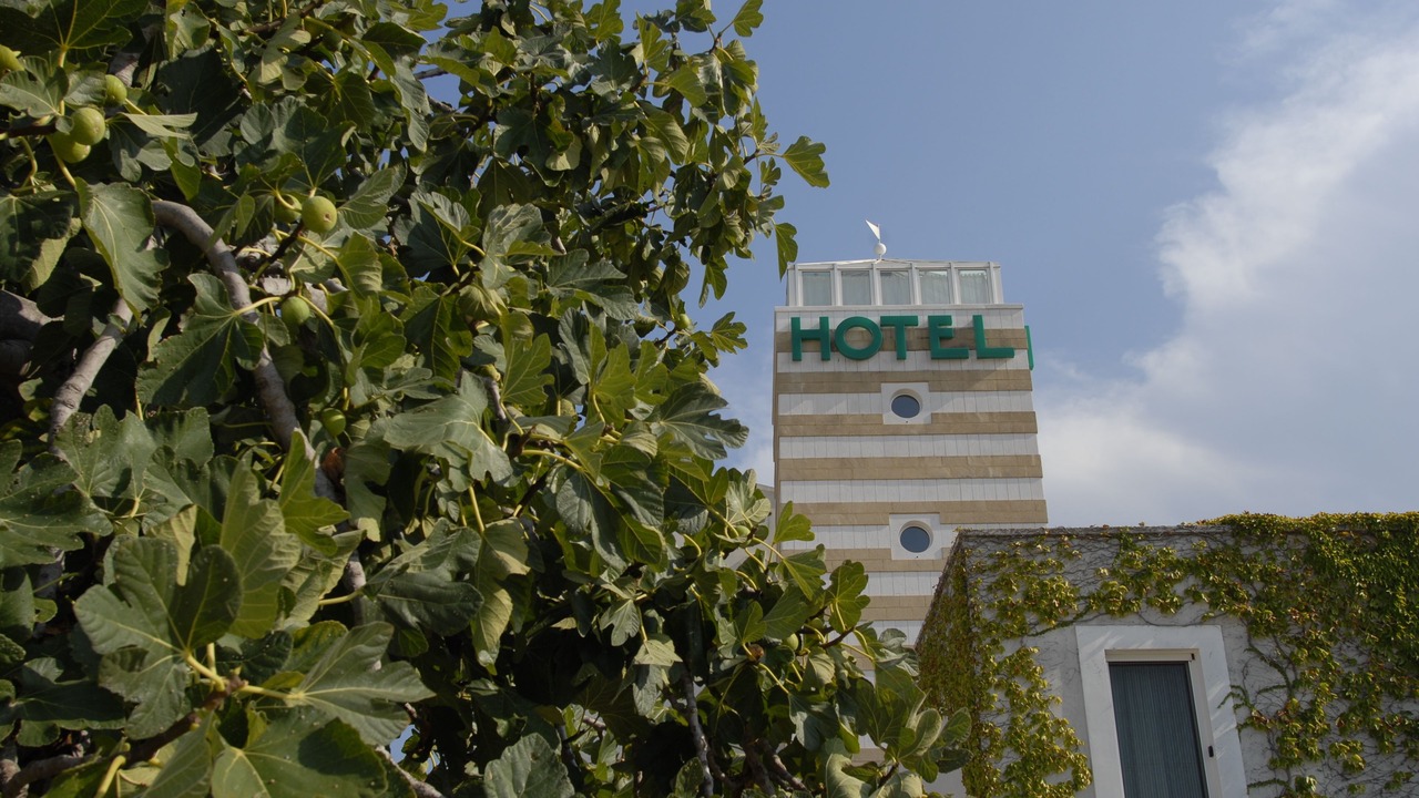 Photo of Outdoor in Monopoli
