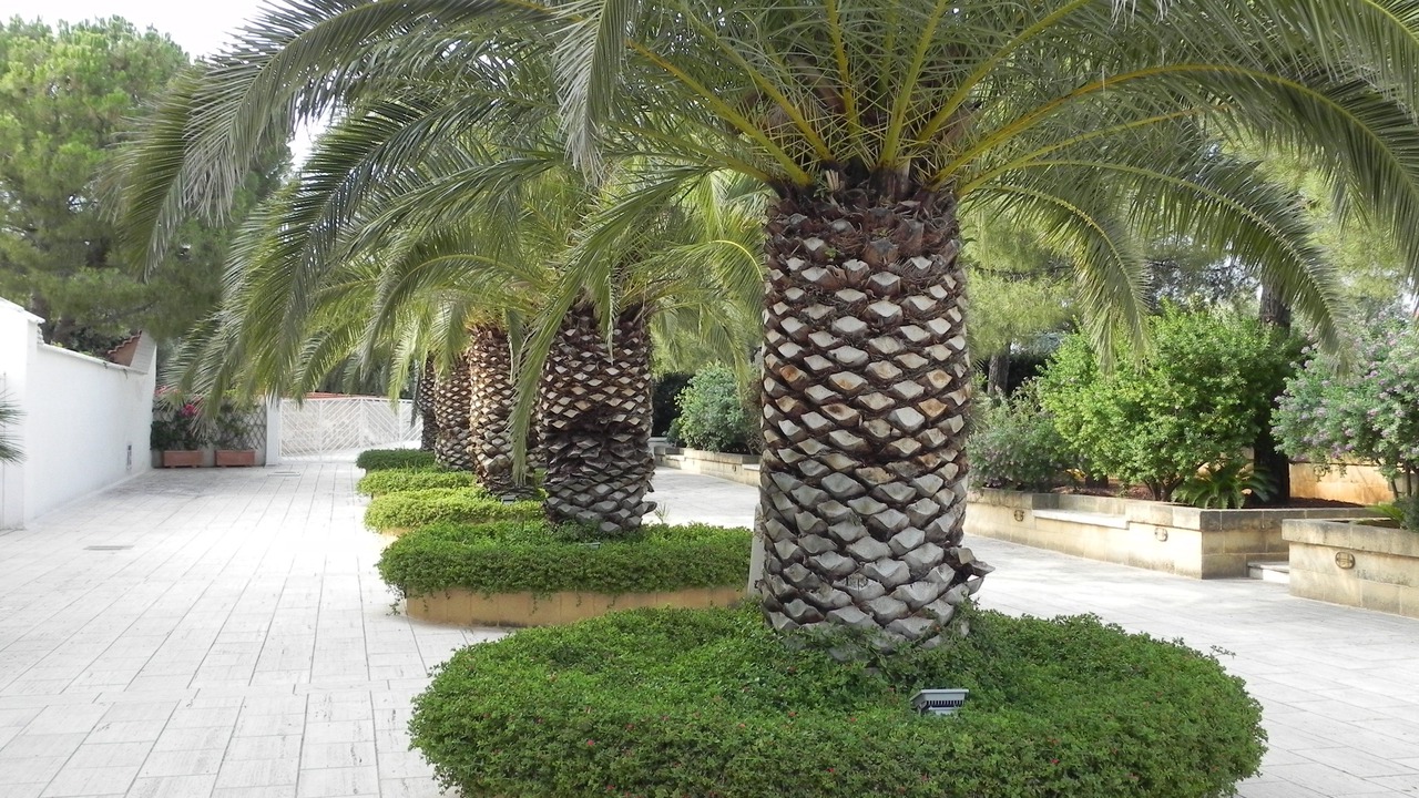 Photo of Outdoor in Monopoli