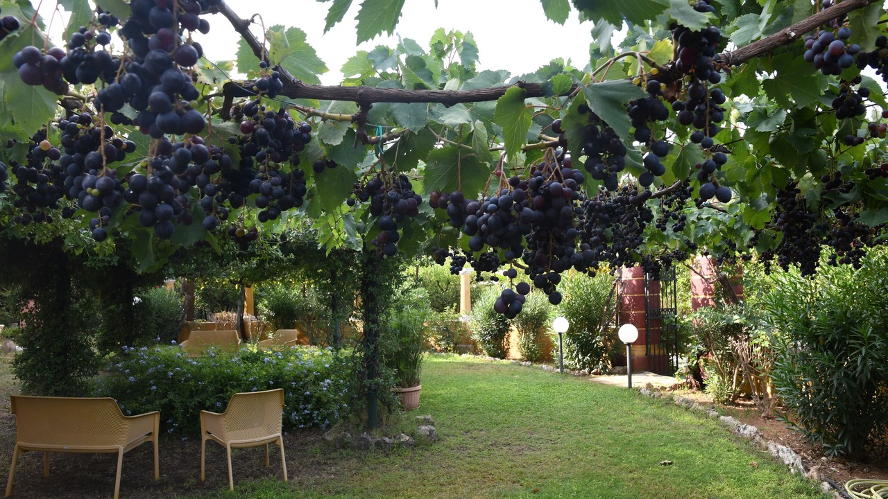 Photo of Outdoor in Alezio