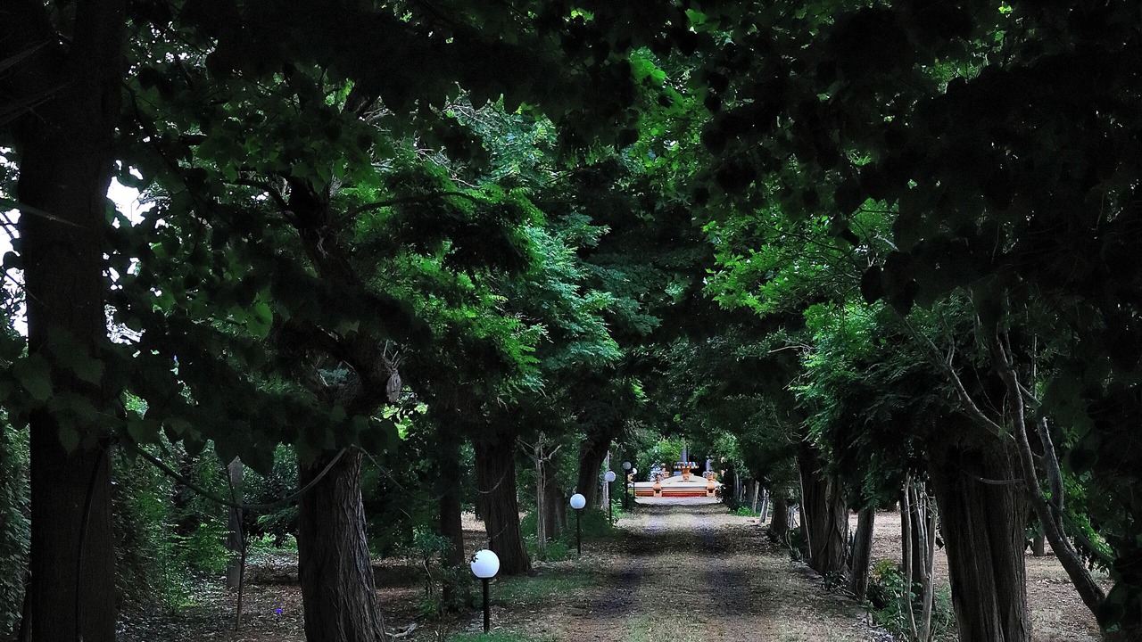 Photo of Outdoor in Alezio
