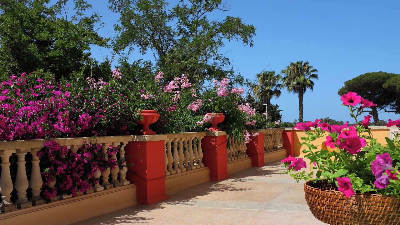 Photo of Outdoor in Alezio