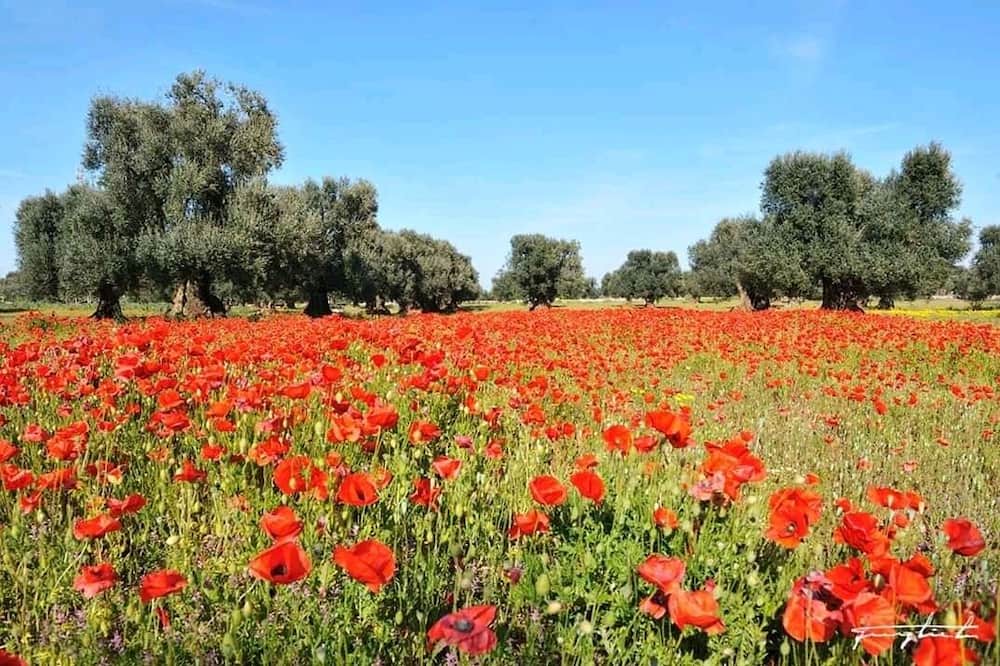 Photo of Outdoor in Marina di Ostuni